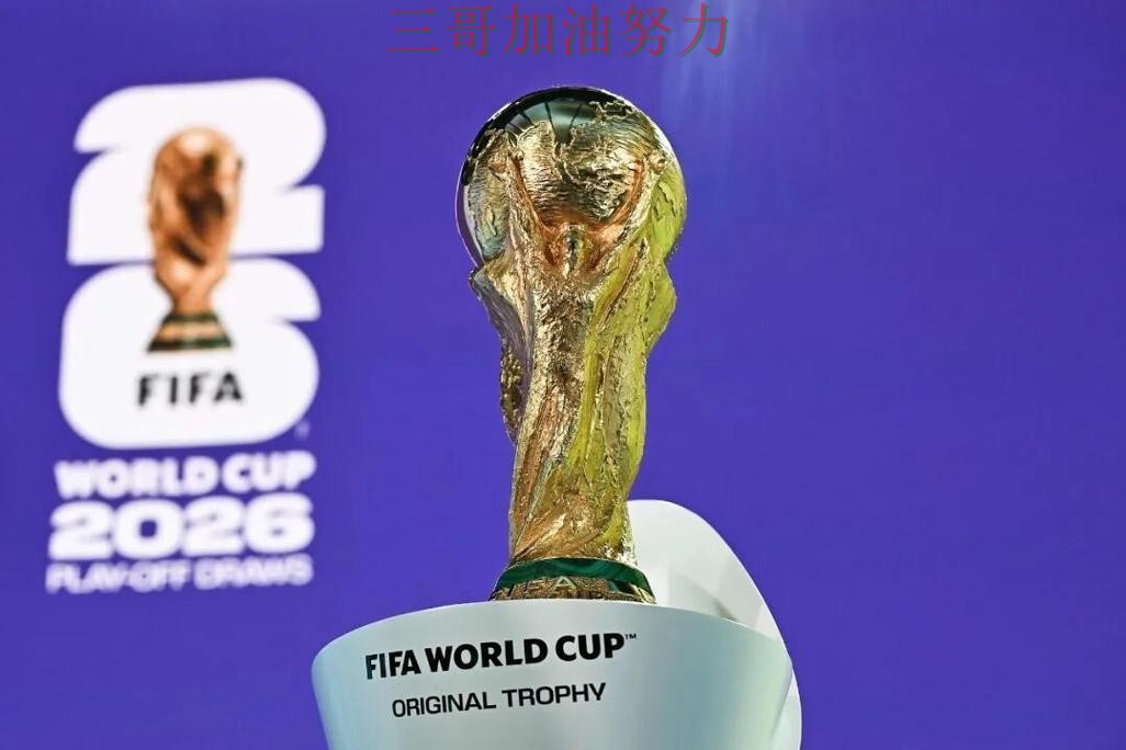 世界杯买球平台推荐平台排行告诉你：怎么玩的正确方式（2026世界杯）
